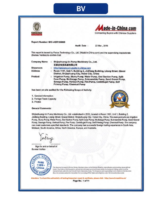 BV supplier audit · 2016 document scan, Shijiazhuang An Pump Machinery Co., Ltd.