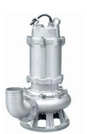 Stainless-steel ASW pump shown in the supplied ASW catalogue