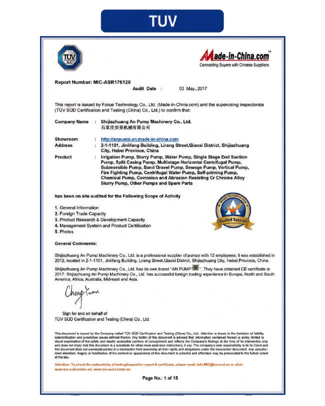 TÜV supplier audit · 2017 document scan, Shijiazhuang An Pump Machinery Co., Ltd.