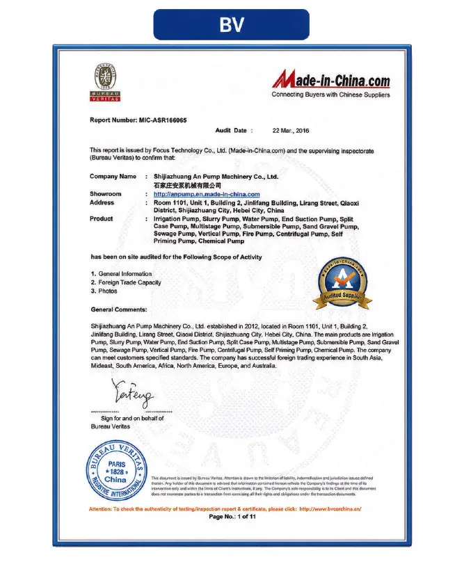 BV supplier audit · 2016 document scan, Shijiazhuang An Pump Machinery Co., Ltd.